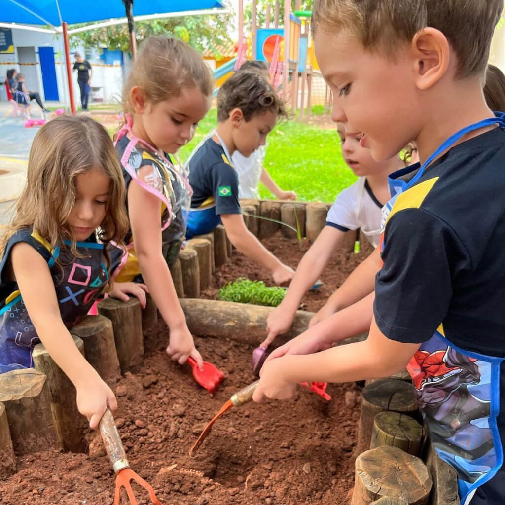 Estrutura Educação Infantil